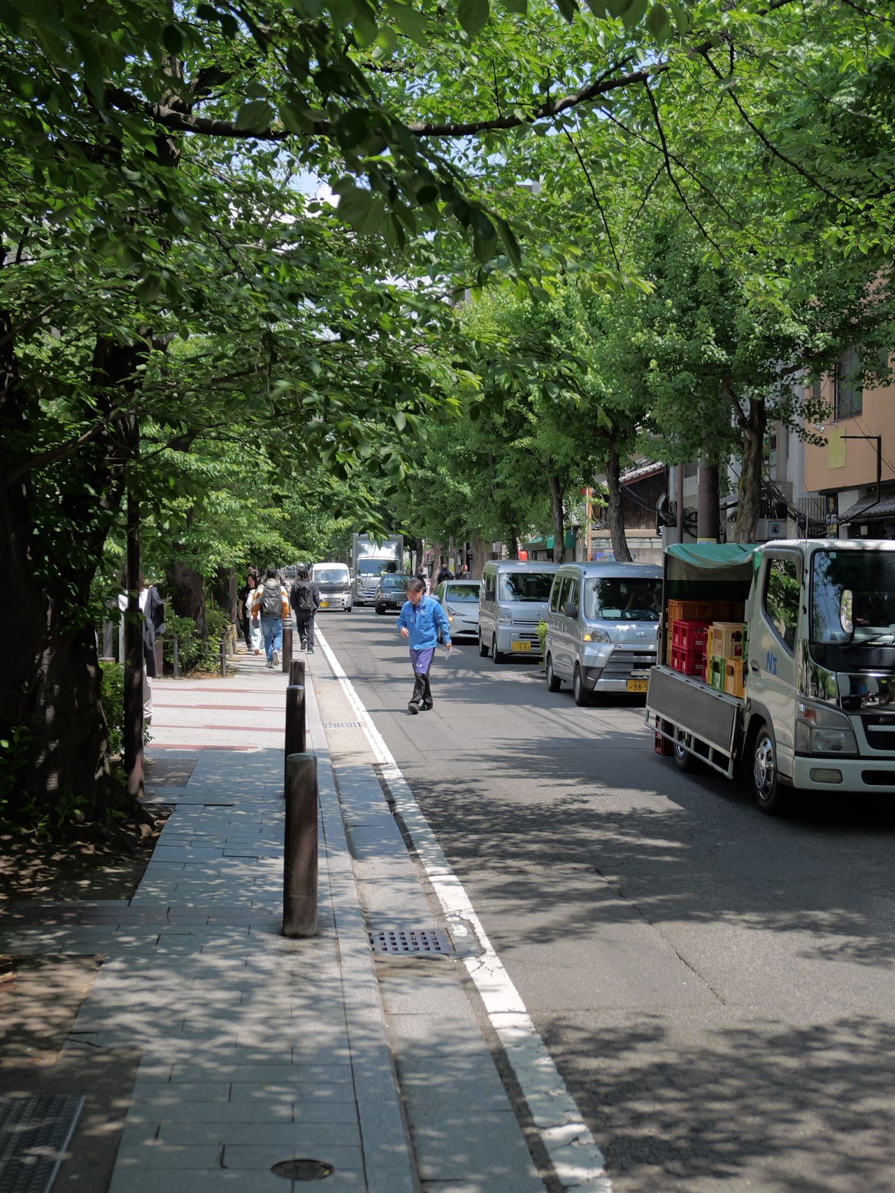 Tree-lined city street with vehicles and pedestrians.
