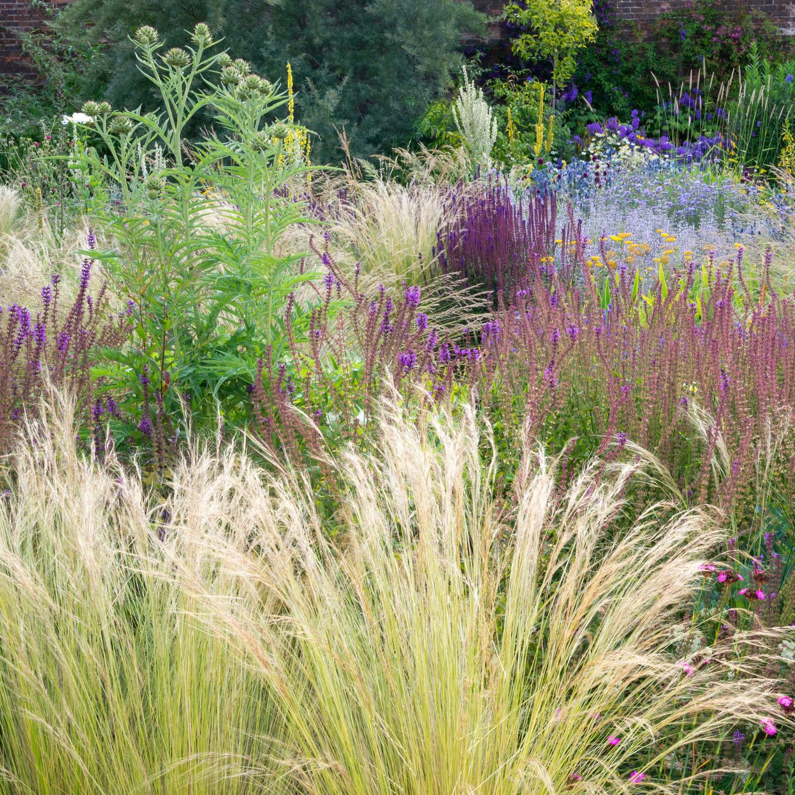 The 5 Best Ornamental Grasses For Shade An Expert Guide Ideal Home