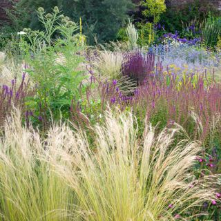 Gorgeous mix of perennials, ornamental grasses and shrubs in a shady garden in July.