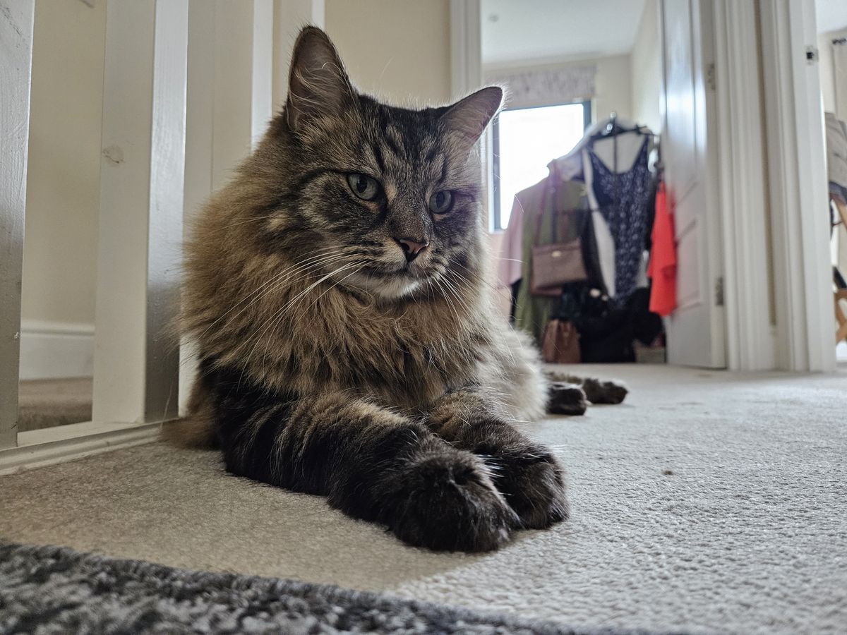 A photo taken on the Samsung Galaxy Z Fold 5