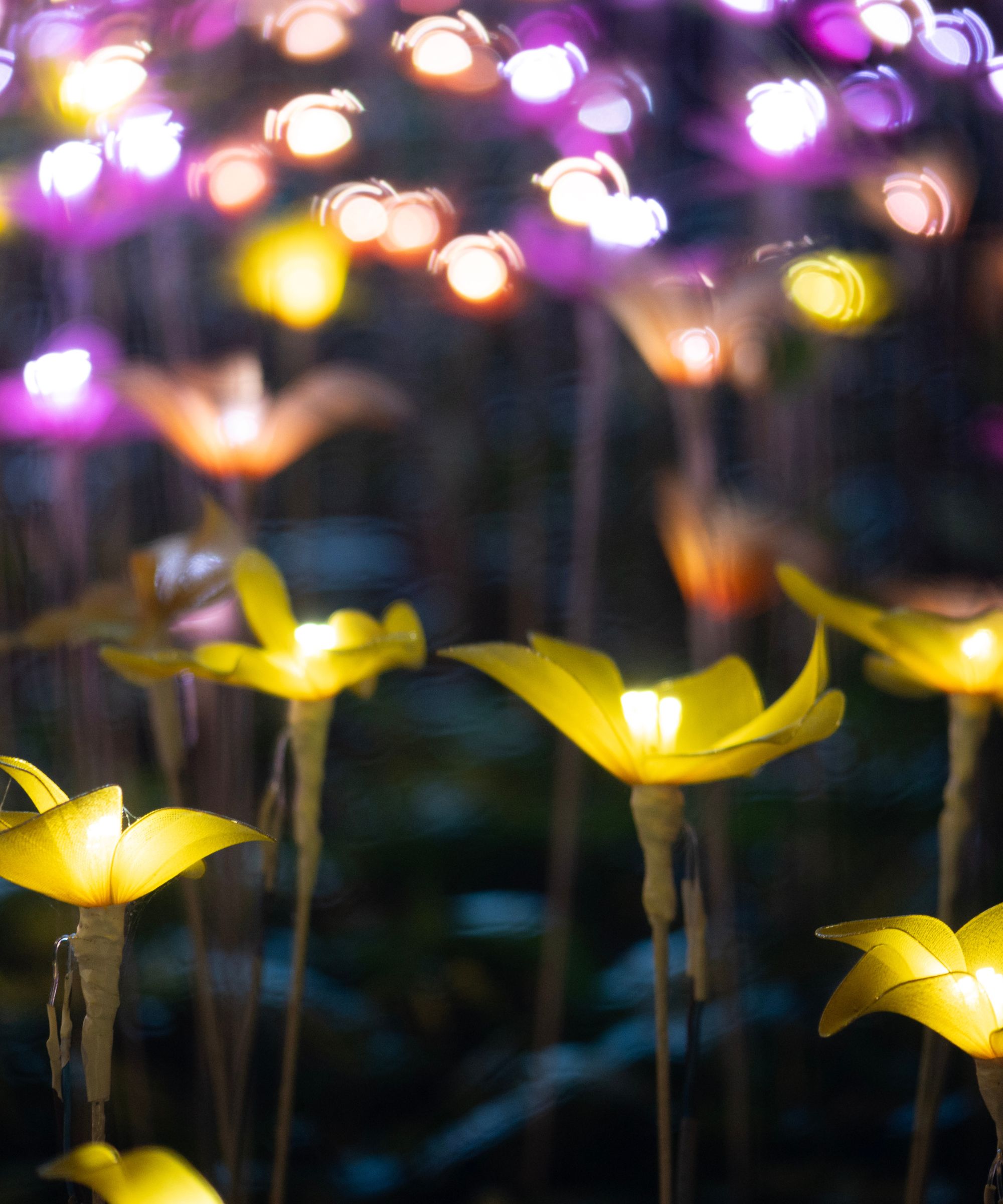 Yellow and purple floral LED garden lights
