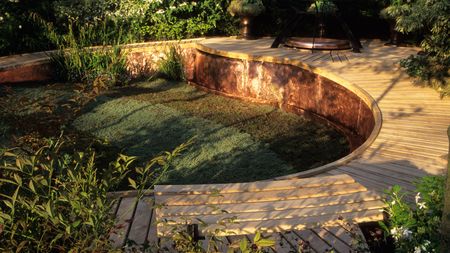 modern garden design with creeping thyme lawn and copper trimmed deck