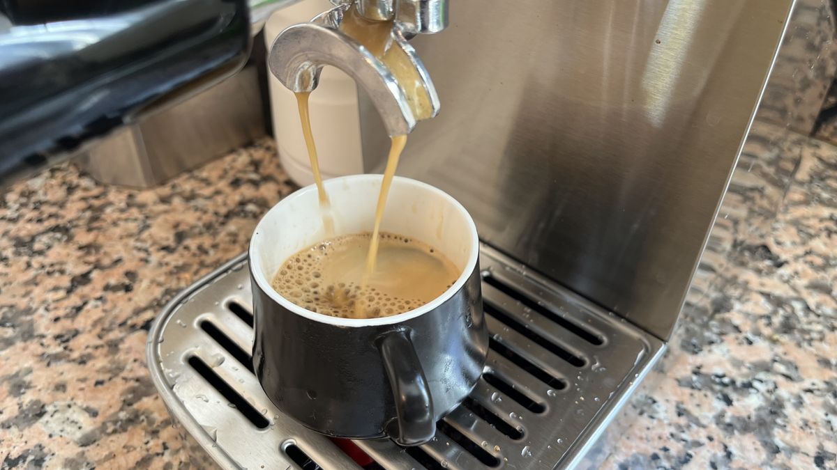 Wirsh Home Barista Plus