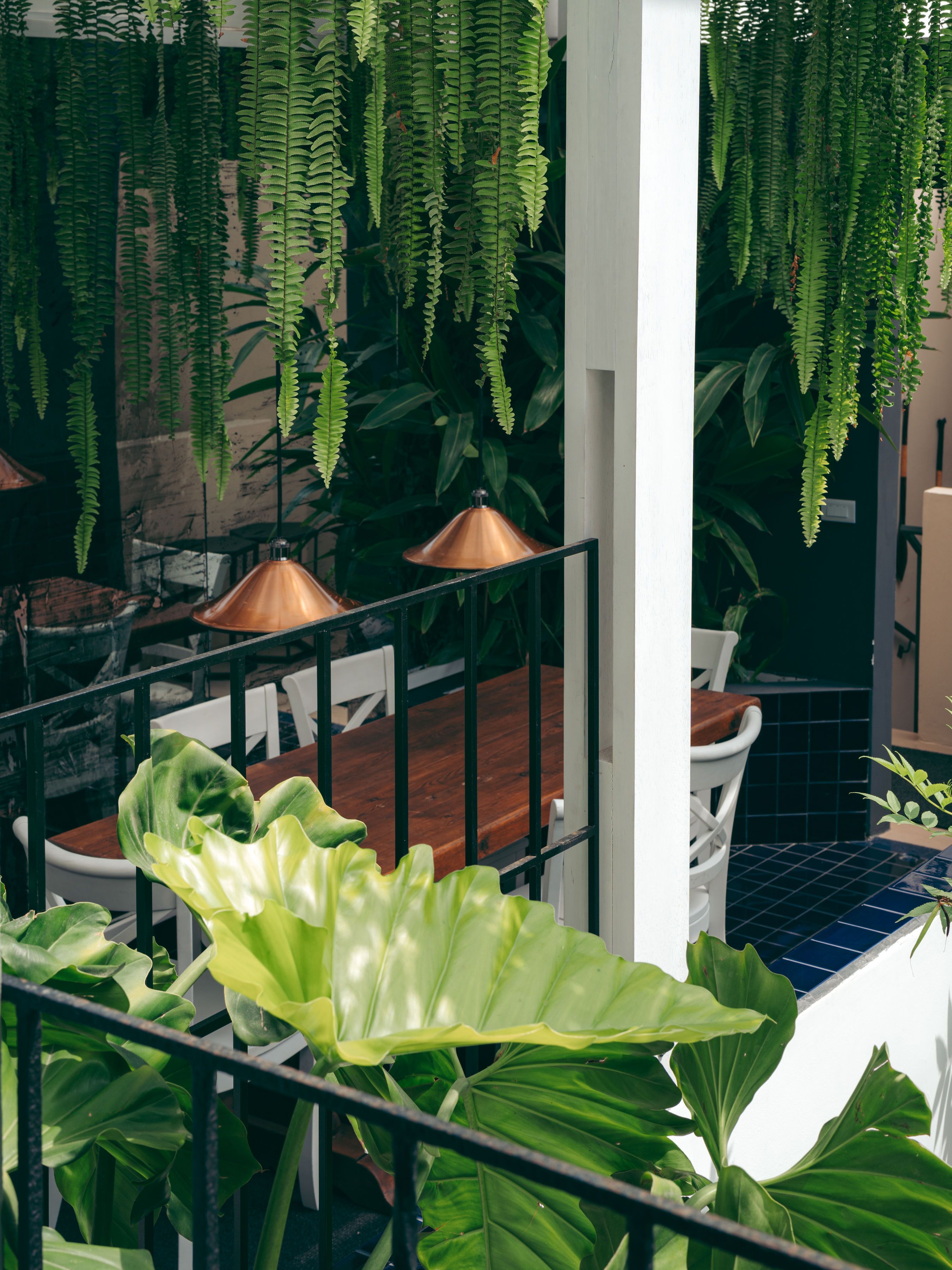A series of images capturing the leafy interiors and exterior and the minimalist-chic rooms of a Peruvian hotel bathing in natural light.