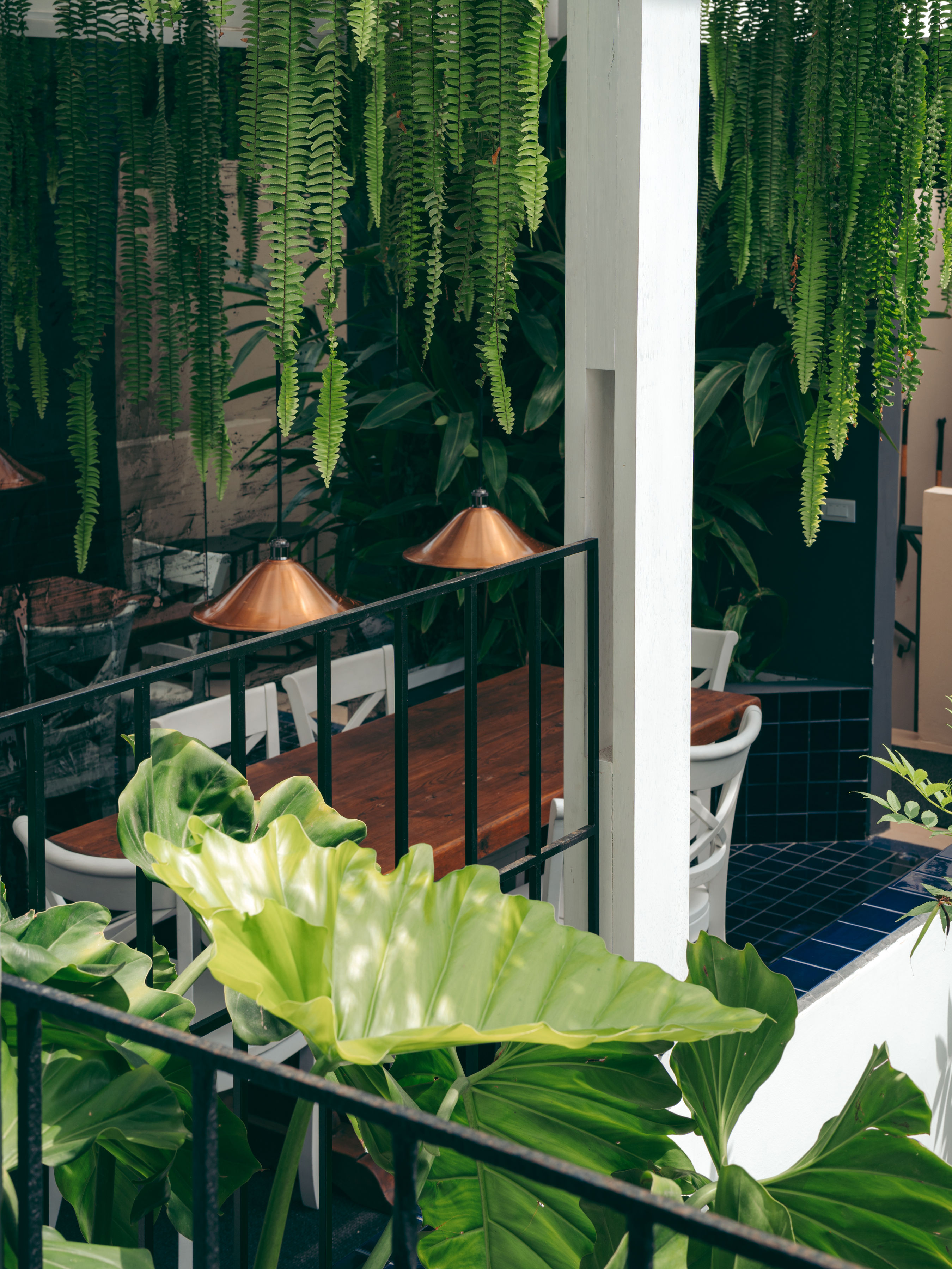 A series of images capturing the leafy interiors and exterior and the minimalist-chic rooms of a Peruvian hotel bathing in natural light.