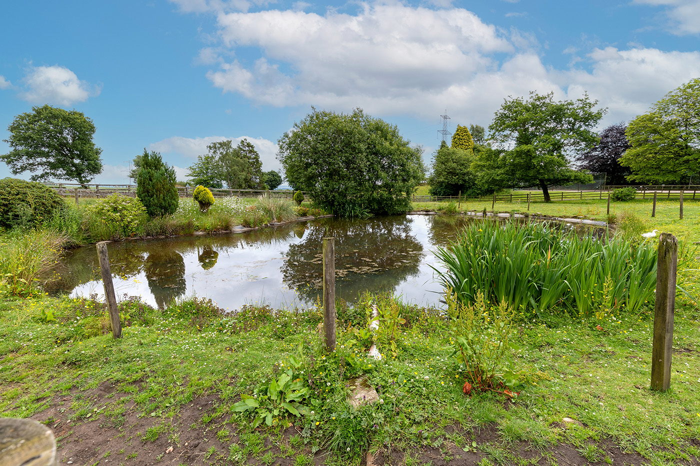 Glenside - pond