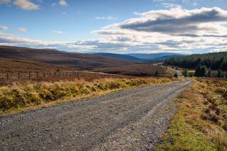 Image shows gravel trail in the Kielder Forest, Northumberland