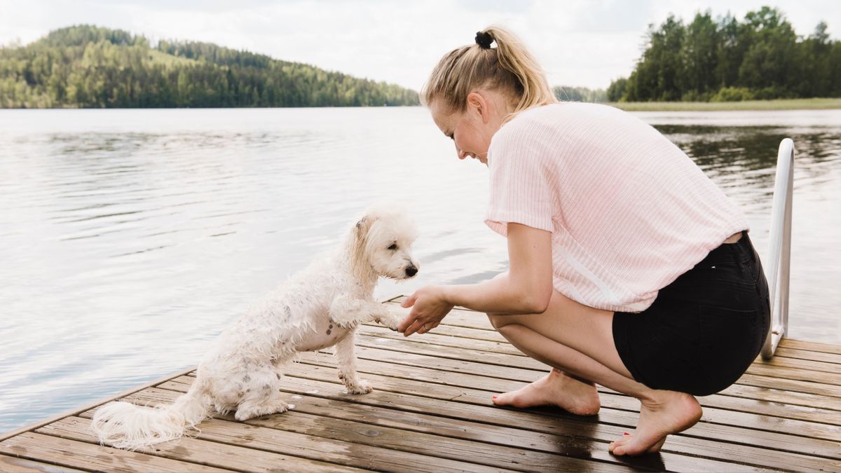 Woman training dog