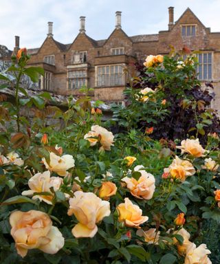 broughton castle