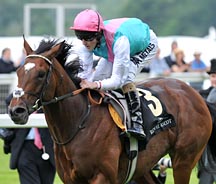 frankel.jpg