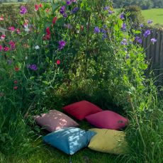 Close up of inside of sweet pea tent in country garden with pillows on grass