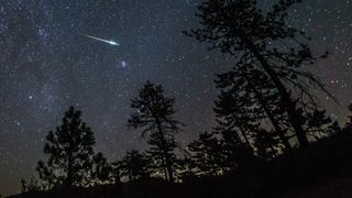 meteor streaks above tree silhouettes