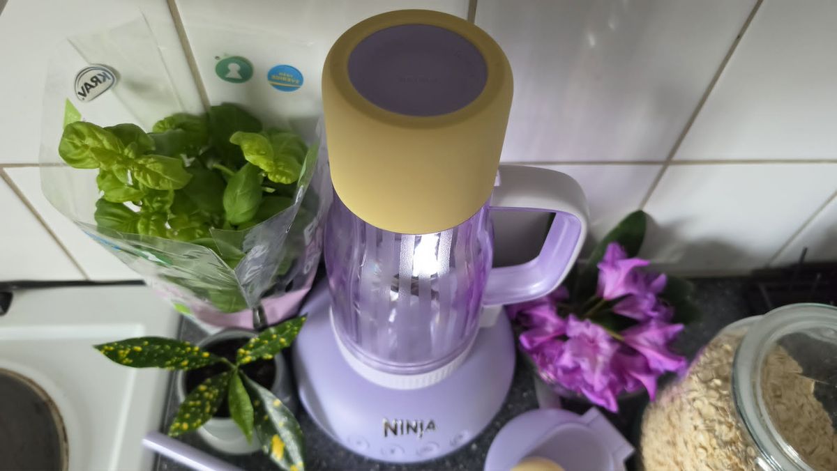 Ninja BlendBoss