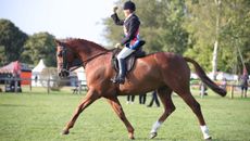 Scarlet Ribbons and Francoise Babington claim the amateur hunter supreme at the 2025 Royal International