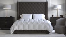 Saatva comforter on a bed in a modern hotel-style bedroom