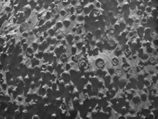 mars spherules opportunity