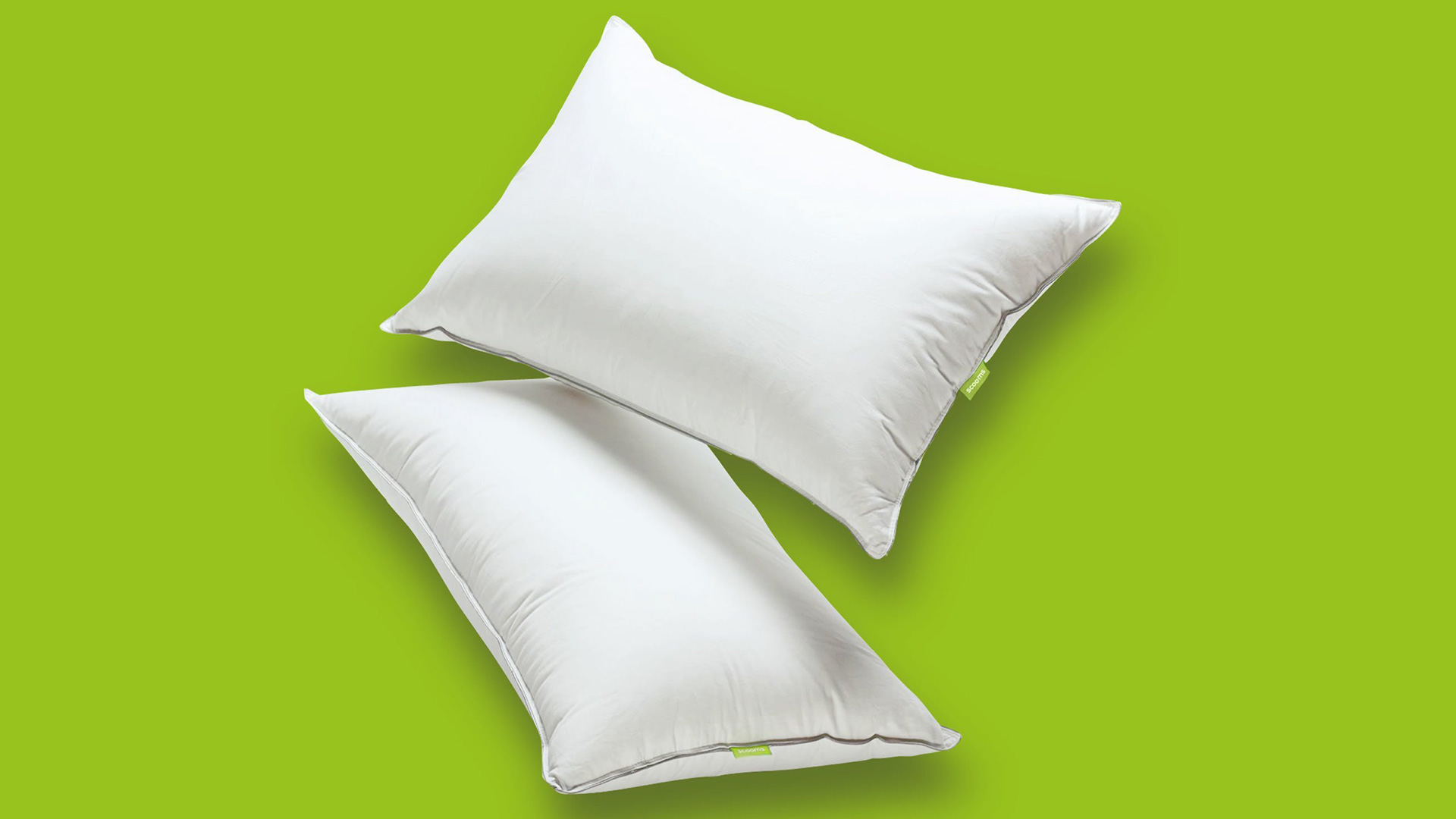 best pillow: Scooms Hungarian Goose Down pillow