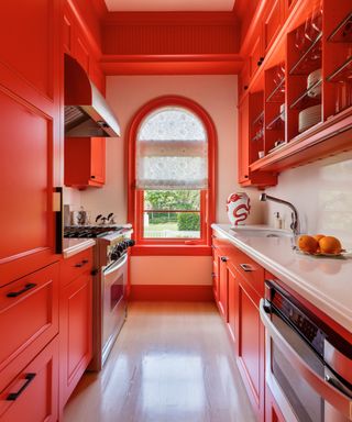 bright orange galley kitchen
