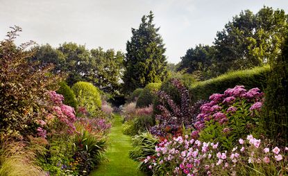 The gardens of Petersham Nurseries in August 