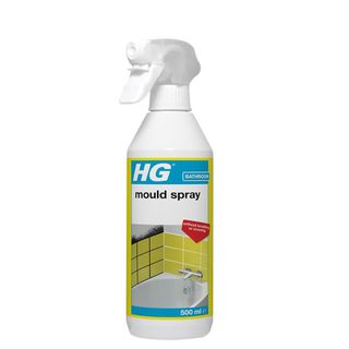 bottle of HG mould remover