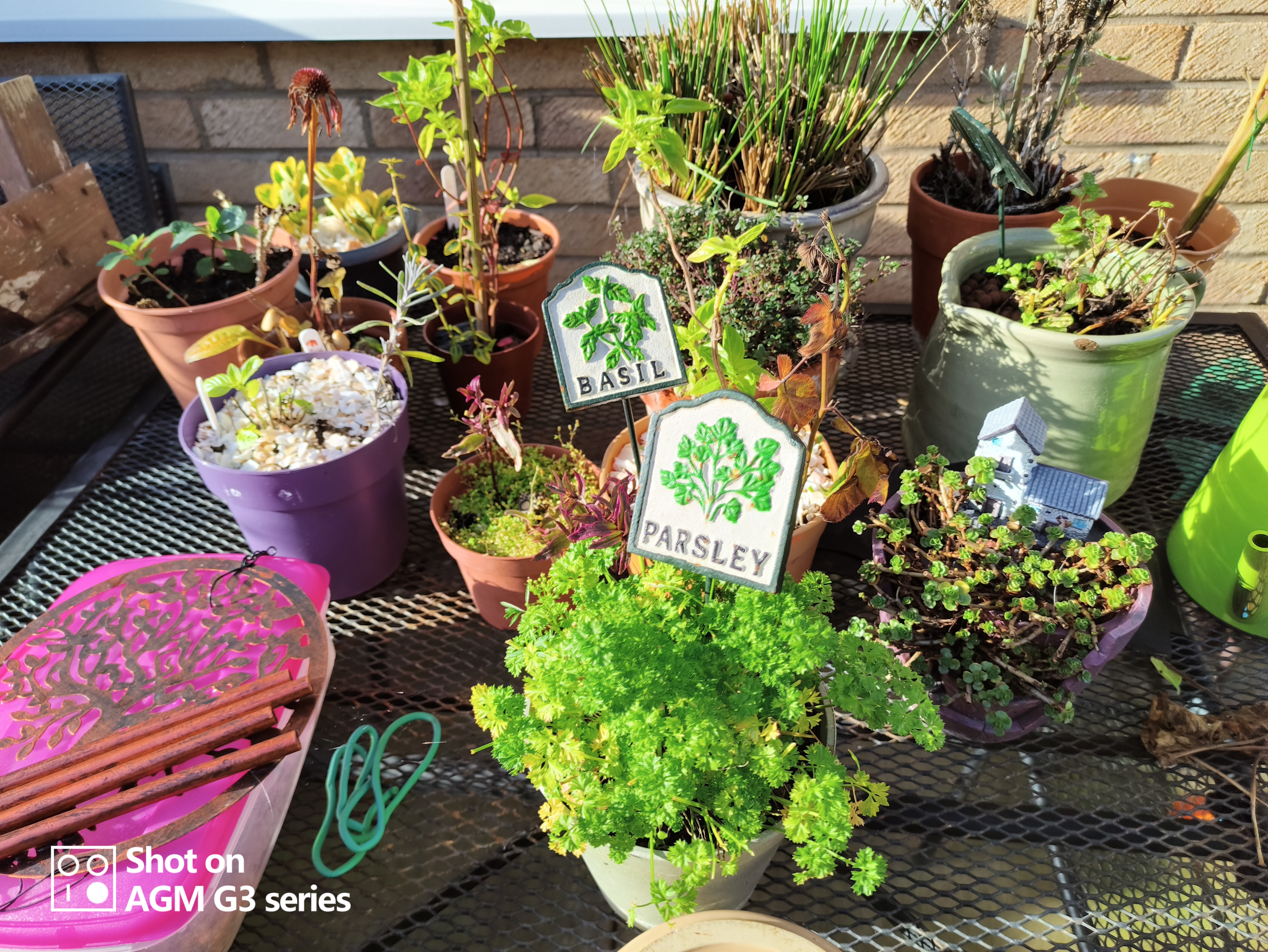 AGM G3 Pro photo and thermal examples