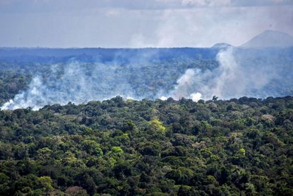 Forest burning in the Amazon.