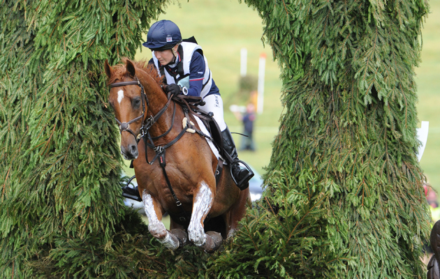 HorseNo136_Barbury15pn_26454.jpg