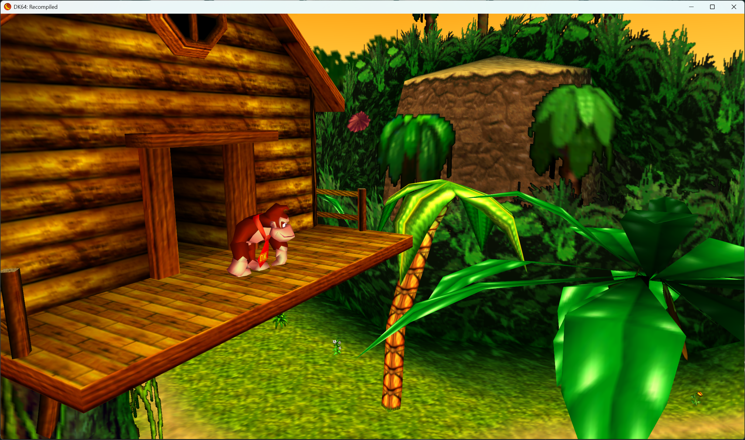 Donkey Kong 64: Recompiled