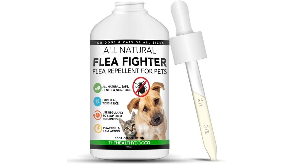 Best flea medication for dogs Pills to keep away critters PetsRadar