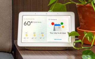 Google Nest Hub, Privacy & security guide