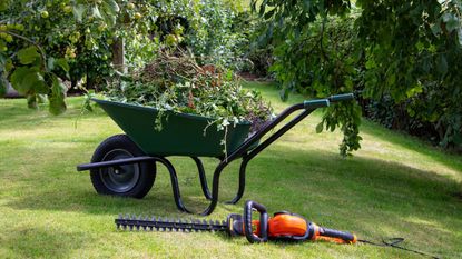 A hedge trimmer next to lawn trimmings in a wheelbarrow