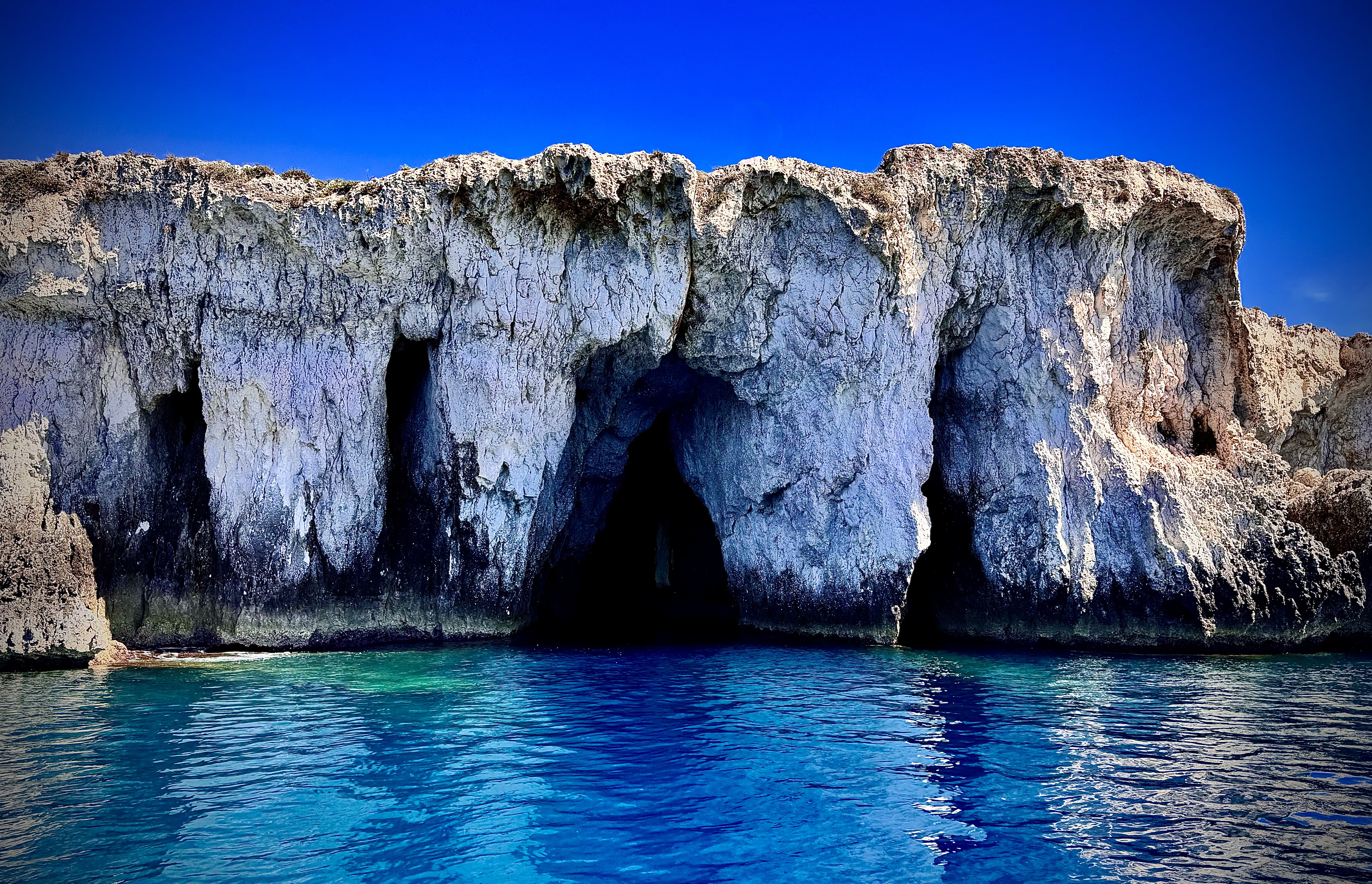 GuruShots - Nature March 2026