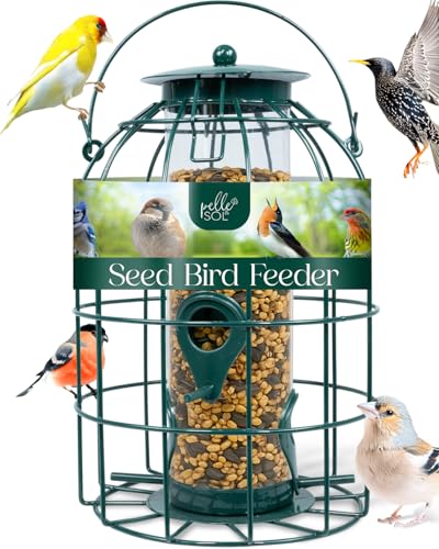 Pelle &amp;amp; Sol Bird Feeder - Seed Feeder for Wild Birds - Compact Iron Design for Bird Feeders Hanging Station - Weather Resistant, Squirrel Proof, Easy Clean, Hang Anywhere Outdoor Feeders