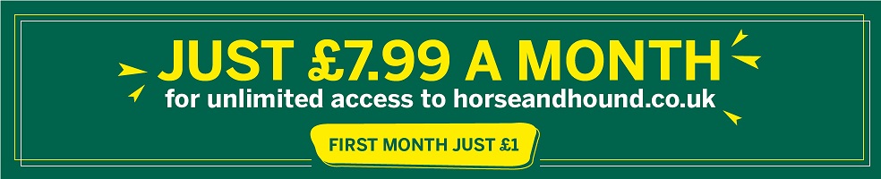 H&amp;H New Season Banner