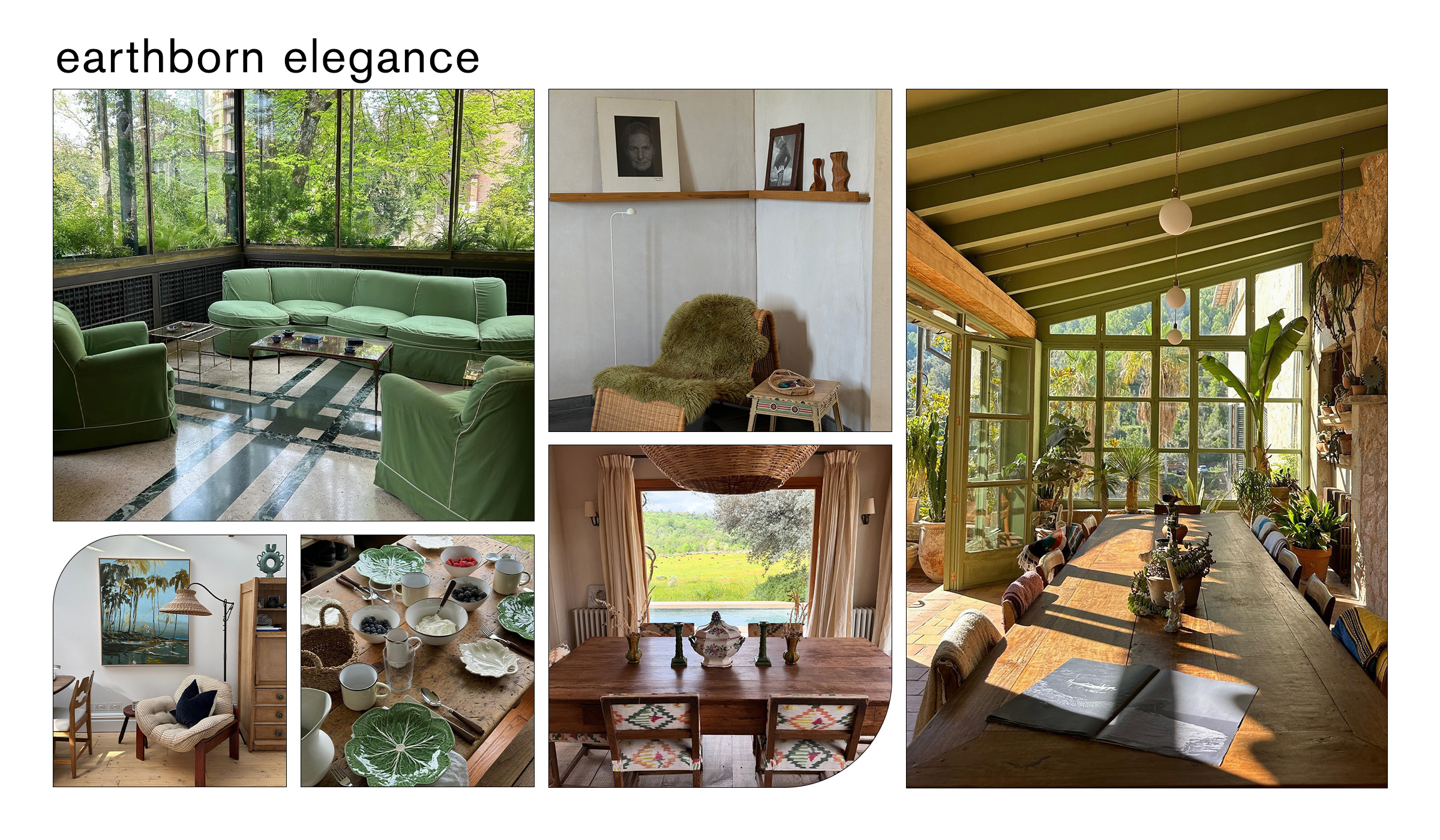 A collage of earthborn design trend.