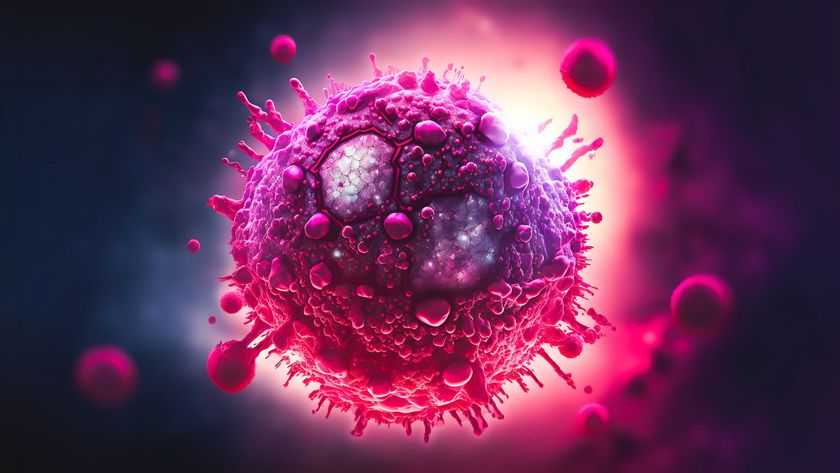 An artist&#039;s rendering of the HIV virus, depicted in pinks and purples