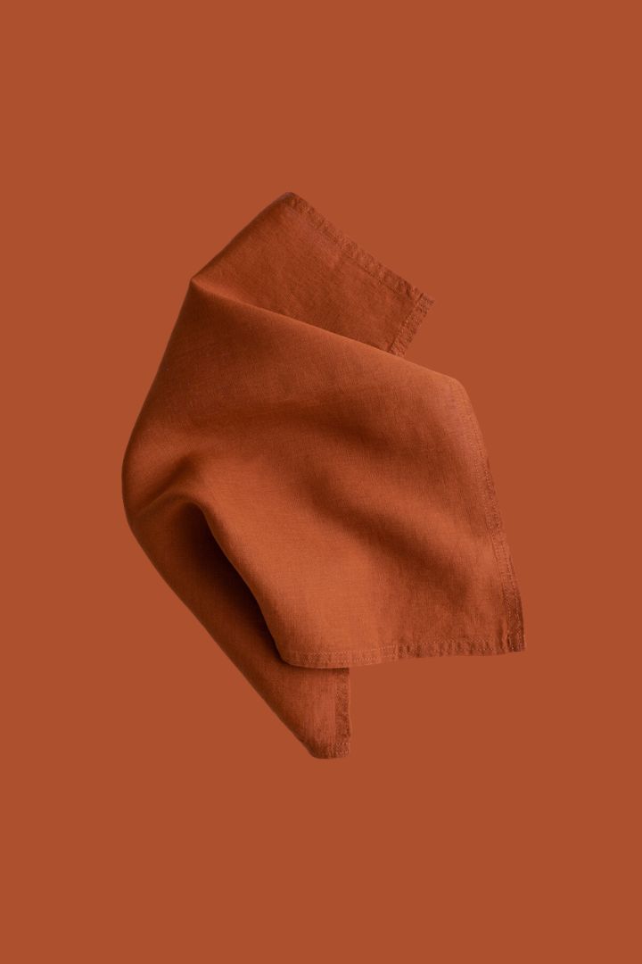 Set of 4 Linen Napkins against terracotta background of the same color.