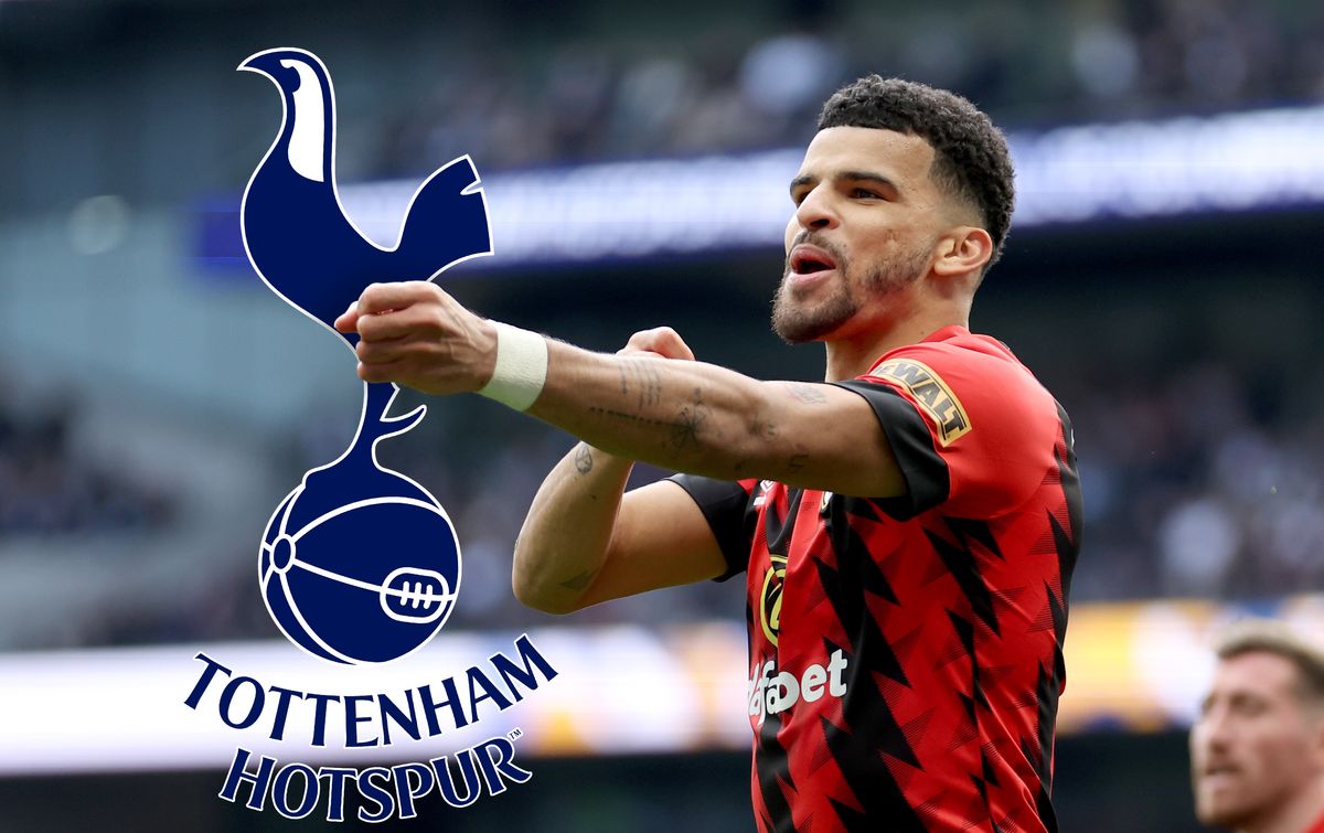 Tottenham Hotspur target Dominic Solanke