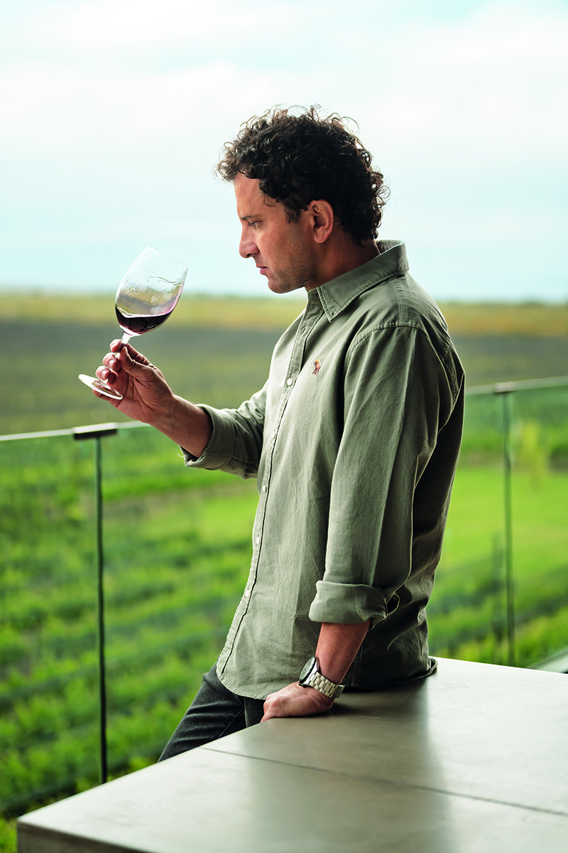 Man with glass of wine overlooking vineyard