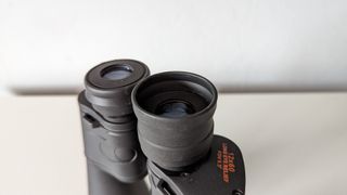 Close-up view of the flip-down eyecups