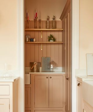 view into pantry painted in soft pink with shelves and base units