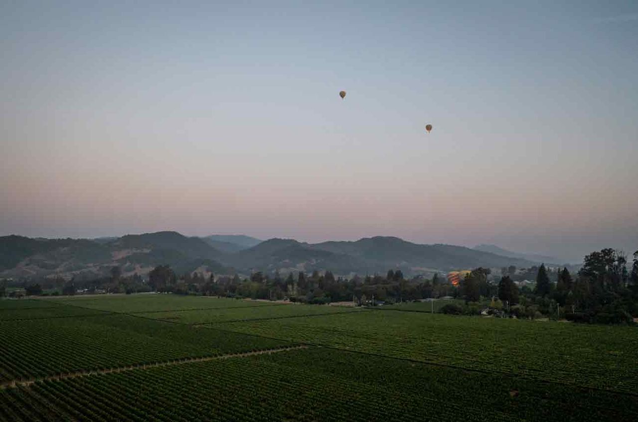 Oak Knoll Cabernets 2021