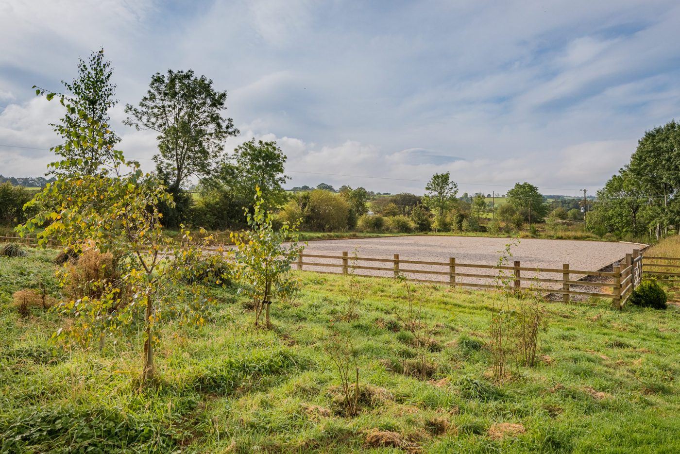 Hayton-Holme_HorseArena2-scaled-e1608286371559.jpg