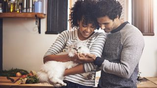 Couple cuddling their Persian cat in the kitchen
