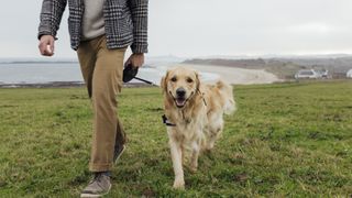 Man taking golden retriever for coastal walk