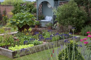 how to plan a kitchen garden with flowers and veg together in raised bed