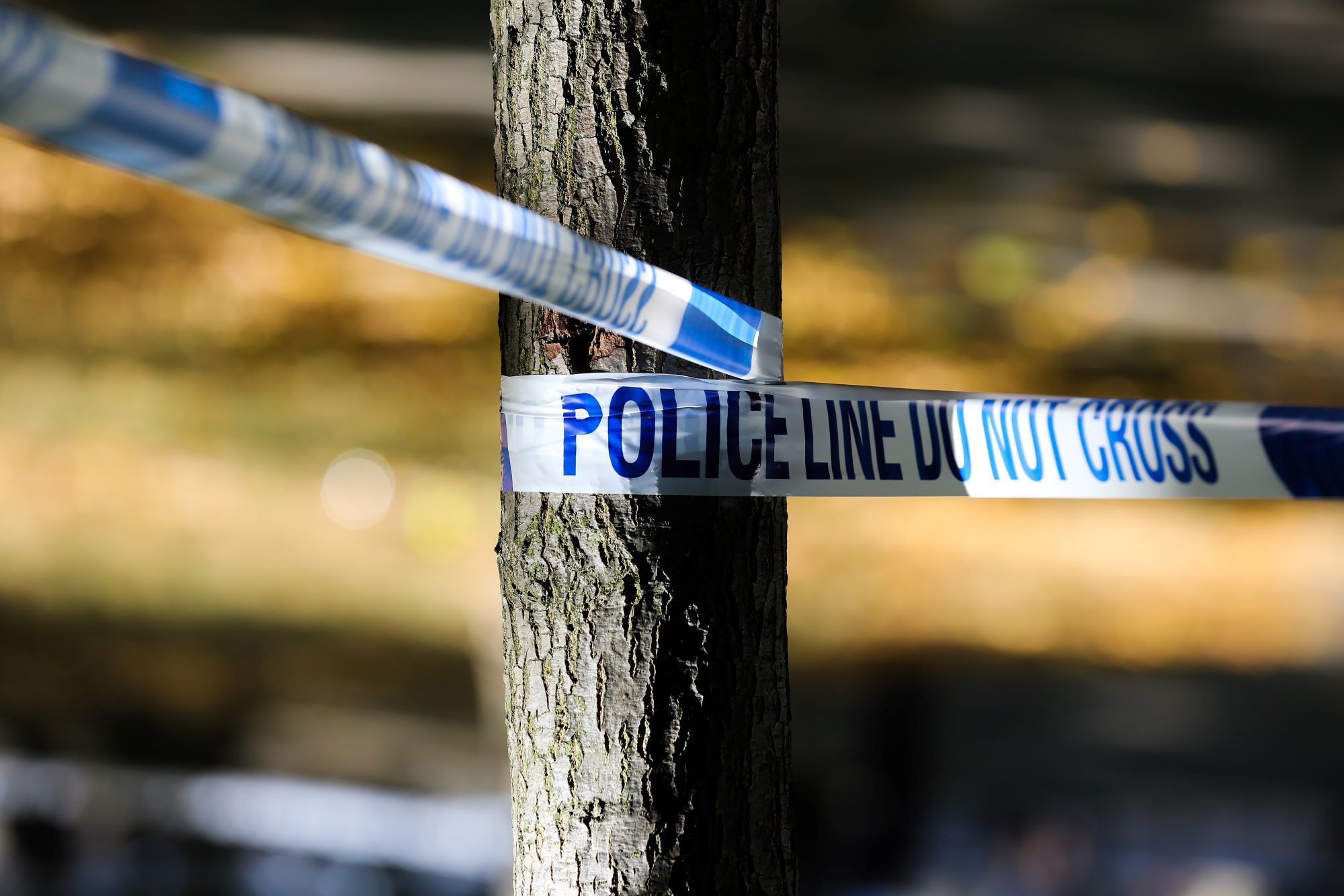 Two cyclists killed by car-driver in Kent