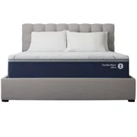 Sleep Number ComfortNext Smart Bed (twin XL) Sleep Number ComfortNext Smart Bed (twin XL)