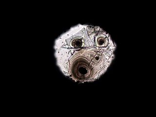 A photo (taken through a microscope) of a rock sample squeezed between two diamond anvils to recreate the conditions of Earth's deep mantle.