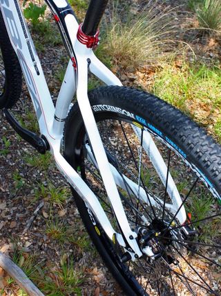 The bridgeless seat and chain stays use big triangular cross-sections but don't ride overly harsh in the rough.